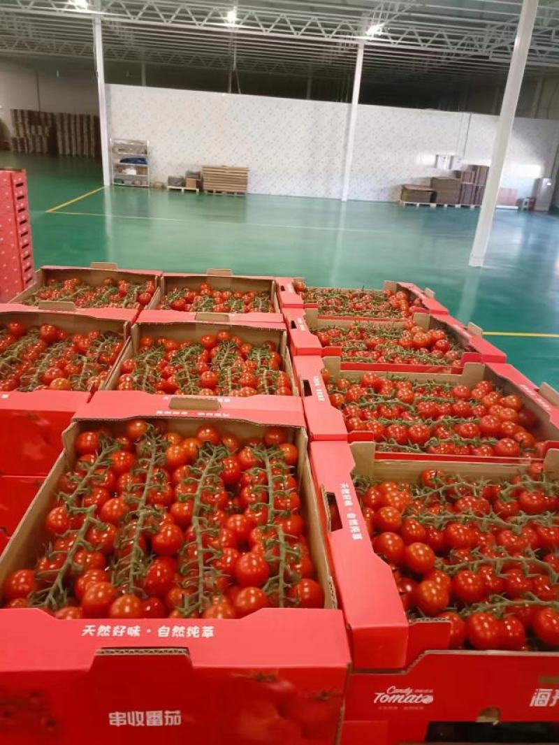 新沂日用百货批发选购指南